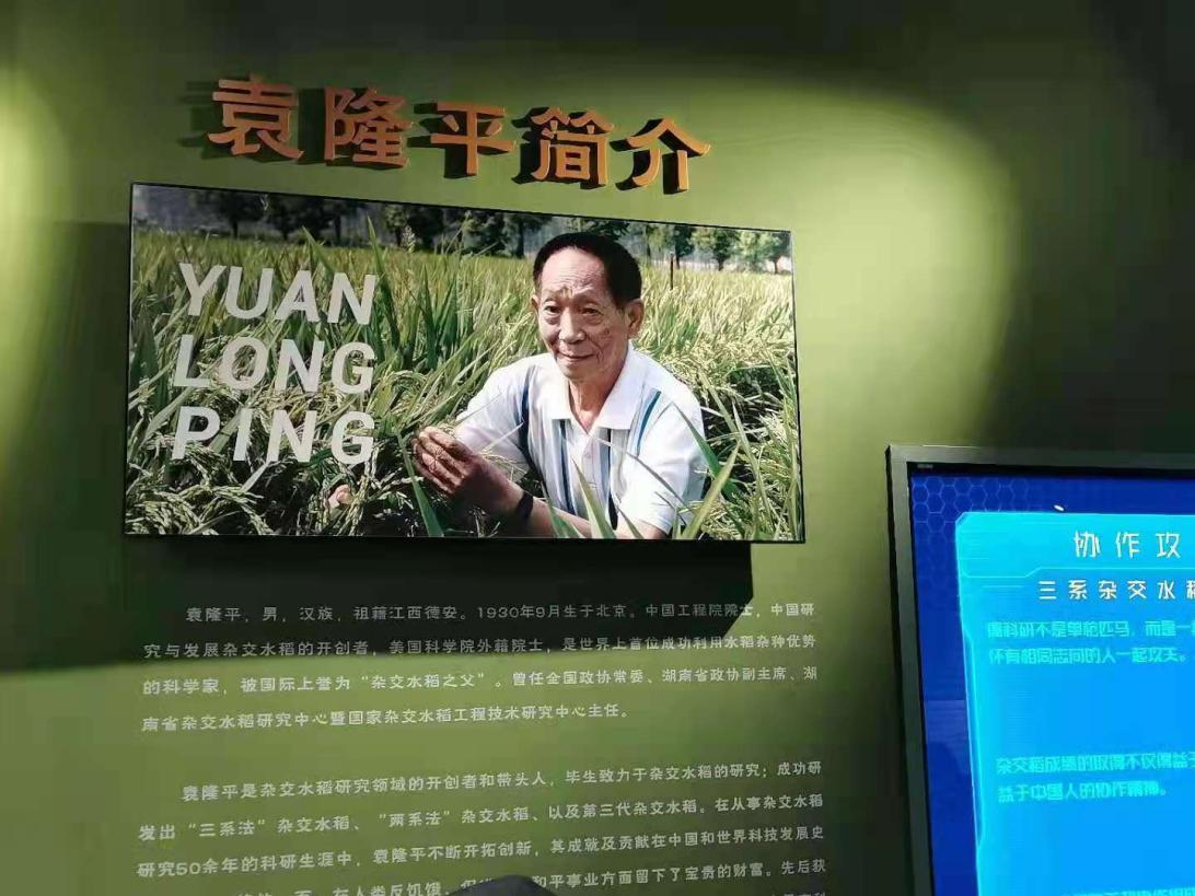 杏吧探花师生悼念袁隆平院士：巨星陨落，精神长存！